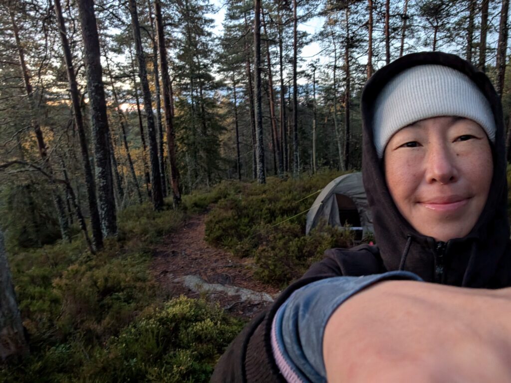 Fra skogstur flukt fra hverdagen på høsten en gang.
