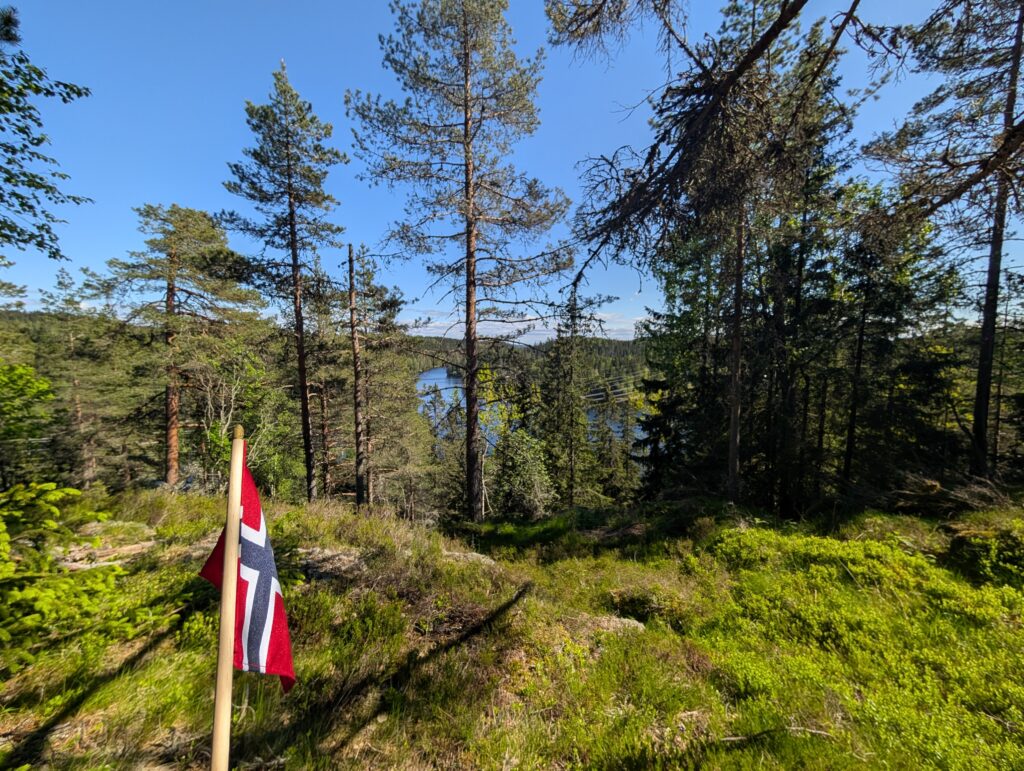 The woods outside the prepped gravel paths of Østmarka, Oslo, Norway.